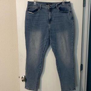 New without tags, Judy Blue, boyfriend fit, size 20W